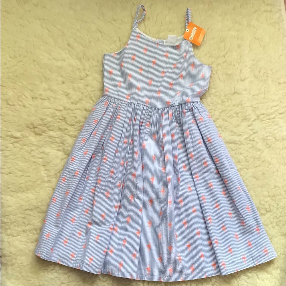 Girl Gymboree dress 👗